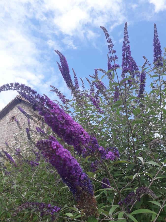 B&B Buddleja Saint-Hilaire-les-Places Exterior photo